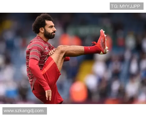 白赚4000万利物浦标王失利纽卡前锋状态火热冲击世界杯荣耀